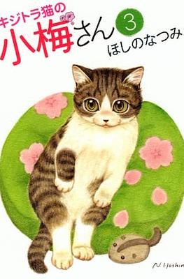 キジトラ猫の小梅さん 虎斑猫小梅 (Kijitora Neko no Koume-san) #3