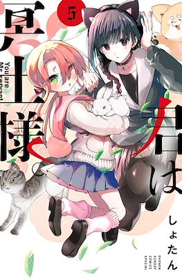 君は冥土様 (Kimi wa Meido-sama) #5