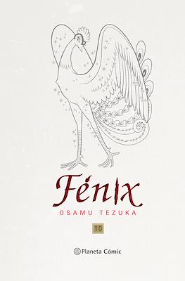 Fénix #10