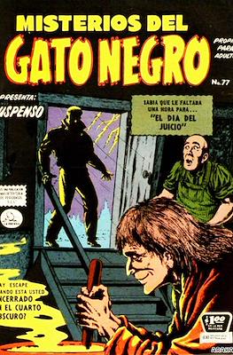 Misterios del gato negro #77