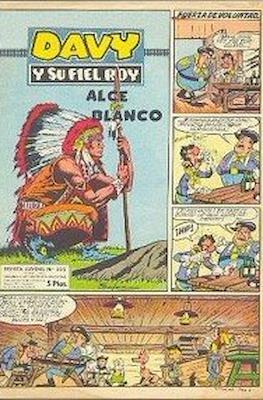 Rin-tin-tin / Davy y su fiel Roy #335