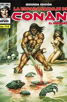 La Espada Salvaje de Conan Vol. 1. 2ª edición #114