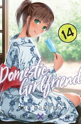 Domestic Girlfriend #14