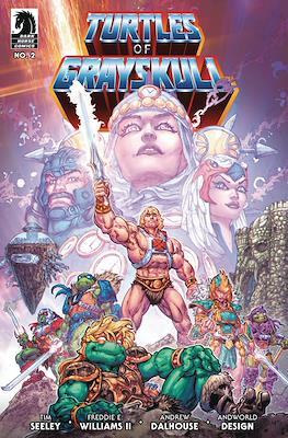 Masters of the Universe / Teenage Mutant Ninja Turtles: Turtles of Grayskull #2