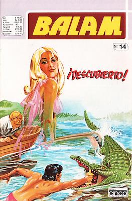Balam #14