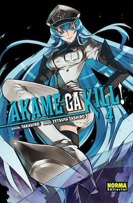 Akame ga Kill! (Rústica con sobrecubierta) #4
