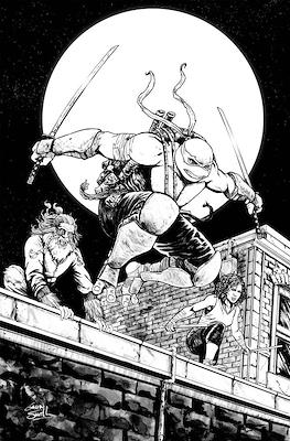 Teenage Mutant Ninja Turtles (2011-...Variant Covers) #144.2