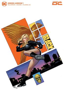 Green Arrow Vol. 7 (2023-Variant Covers) #1.4